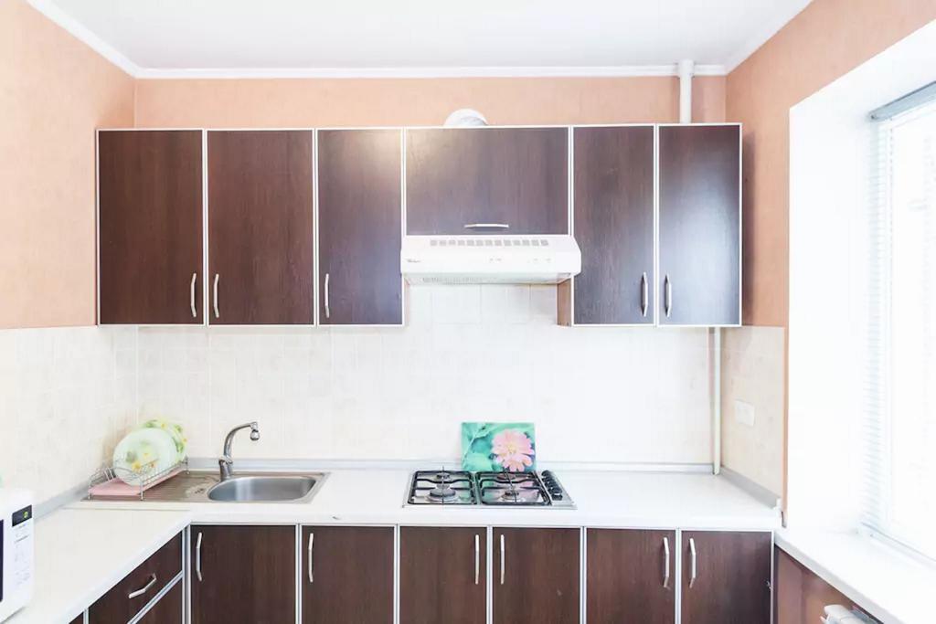 Apartment In Zaporozhye. Antica Zaporizhia Luaran gambar